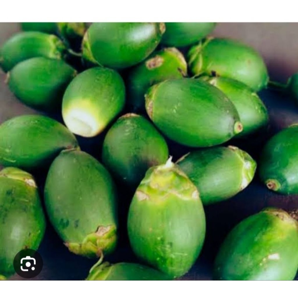 

buah pinang muda 1 kg