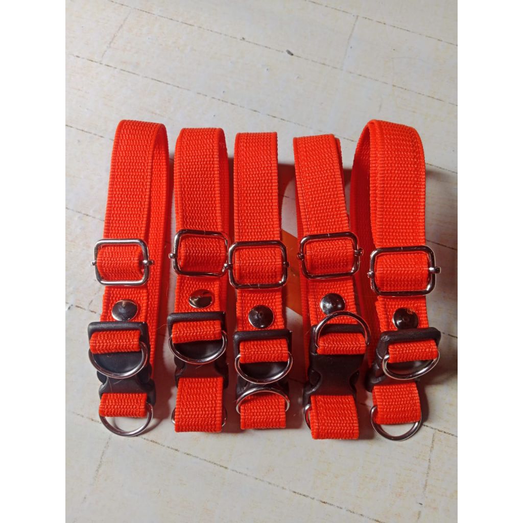 Kalung kambing remaja/kalung kambing dewasa warna orange.