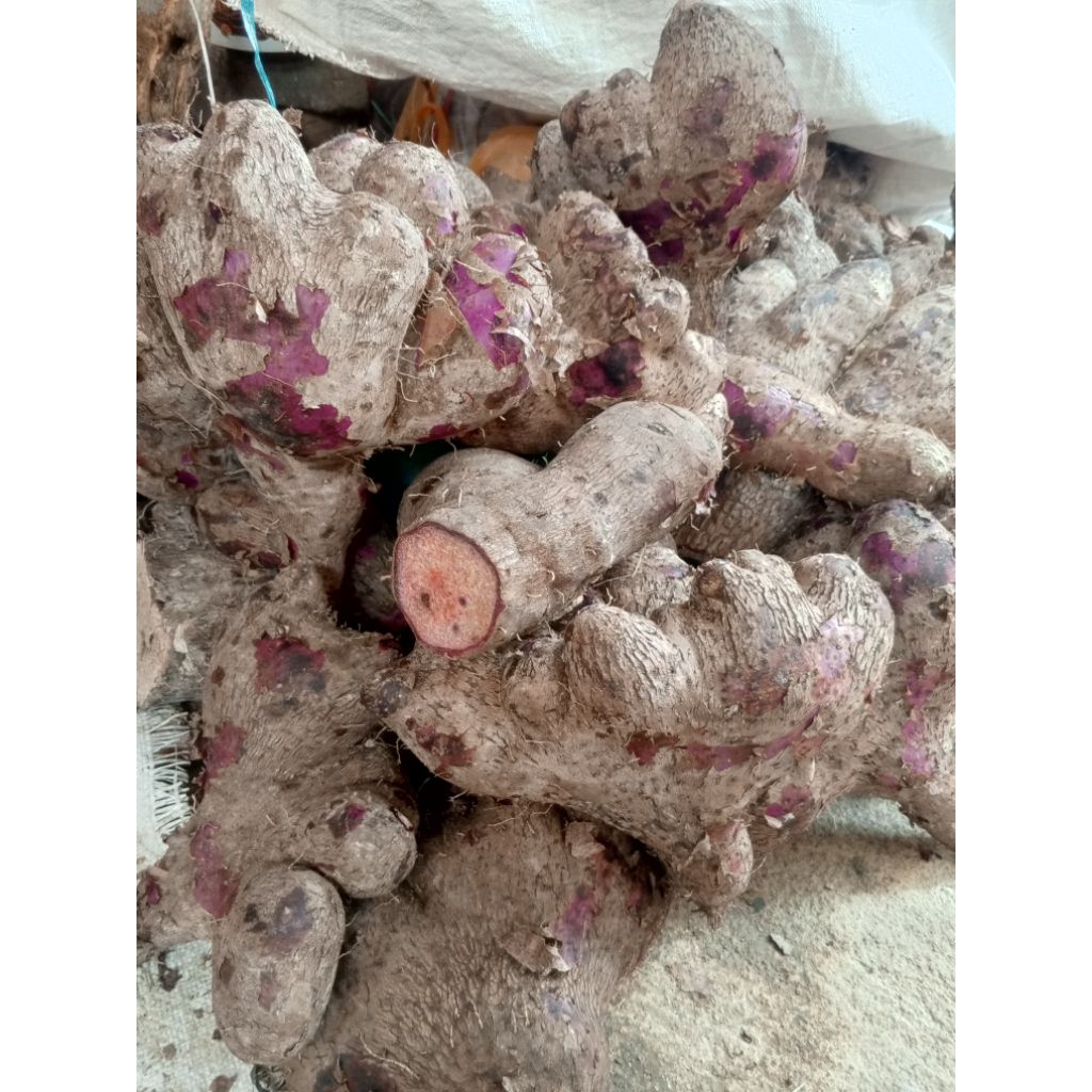 

PROMO Uwi ungu pulen manis legit 1kg