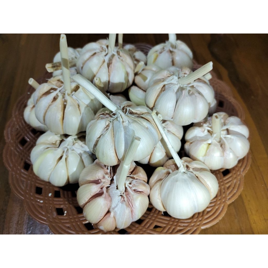 

Bawang Putih Sico Bersih 250 gr Super(ukuran besar)
