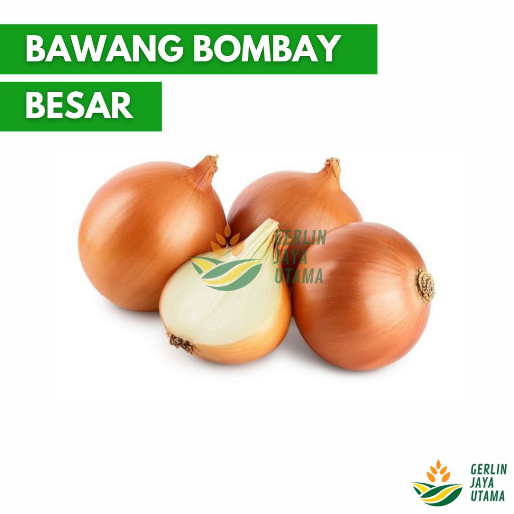 

(1Kg/500Gram/250Gram) 01 - Bawang Bombay Besar (Isi 3-6)