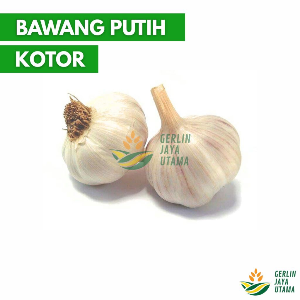 

(1Kg/500Gram/250Gram) Bawang Putih Kotor