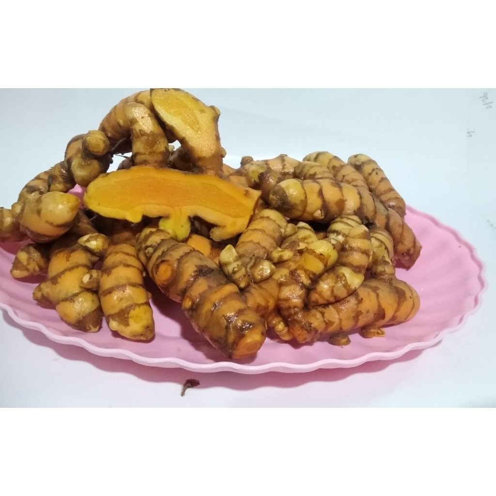 

Kunyit Segar Bersih 1kg Parem Pacitan