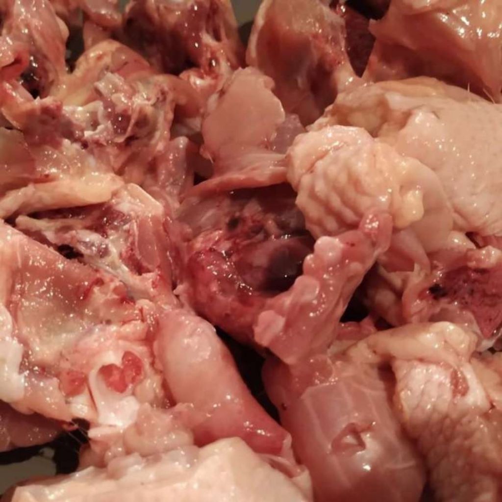 

TULANG PUNGGUNG AYAM