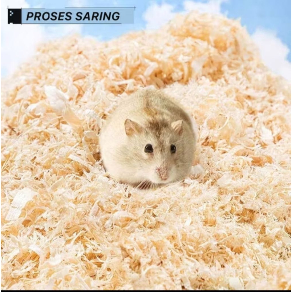 serbuk kayu hamster 1kg murah