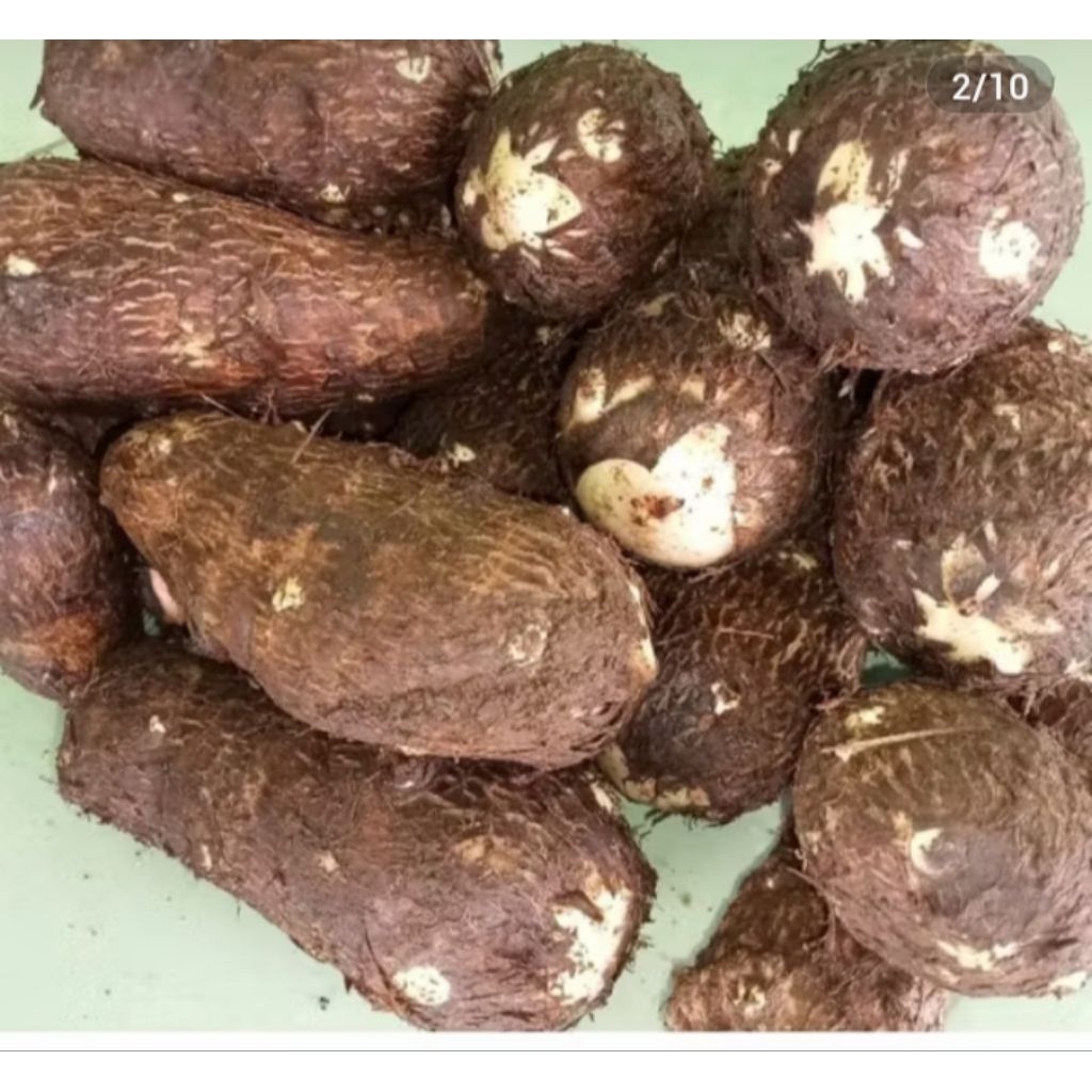 

UMBI TALES KIMPUL PULEN ENAK 1KG