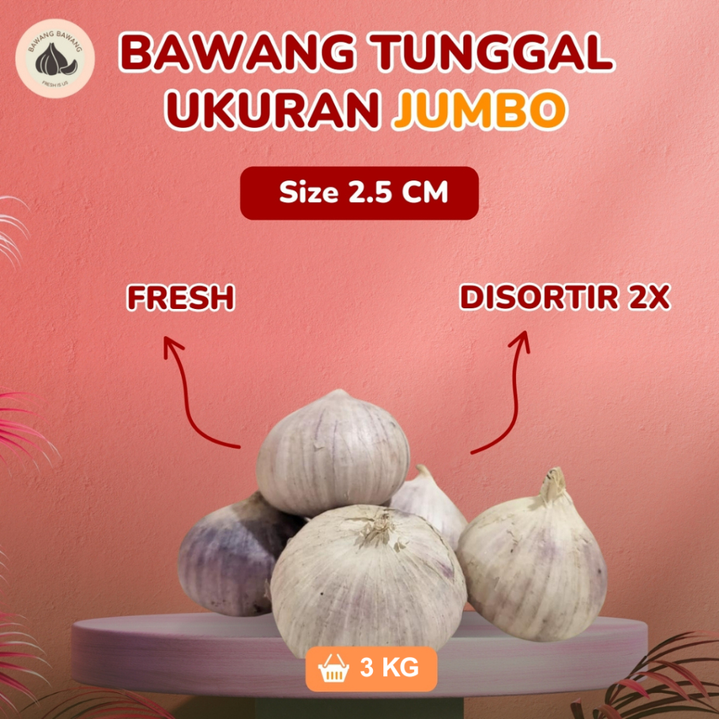 

3 KG PAKET Bawang Putih Tunggal Lanang JUMBO 2.5 Cm