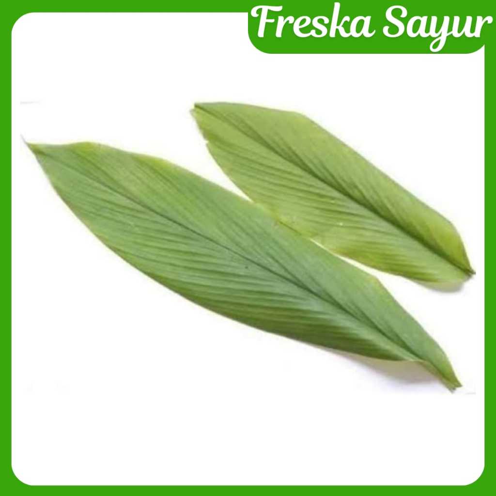 

Daun Kunyit Segar – Aromatik Alami, Cocok untuk Masakan Tradisional & Pepes