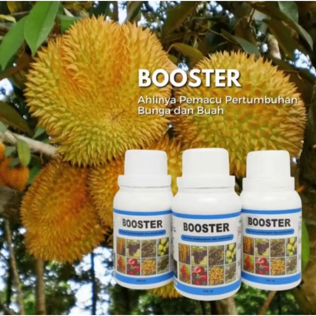 boster 76 pertumbuhan sayuran, buah buahan