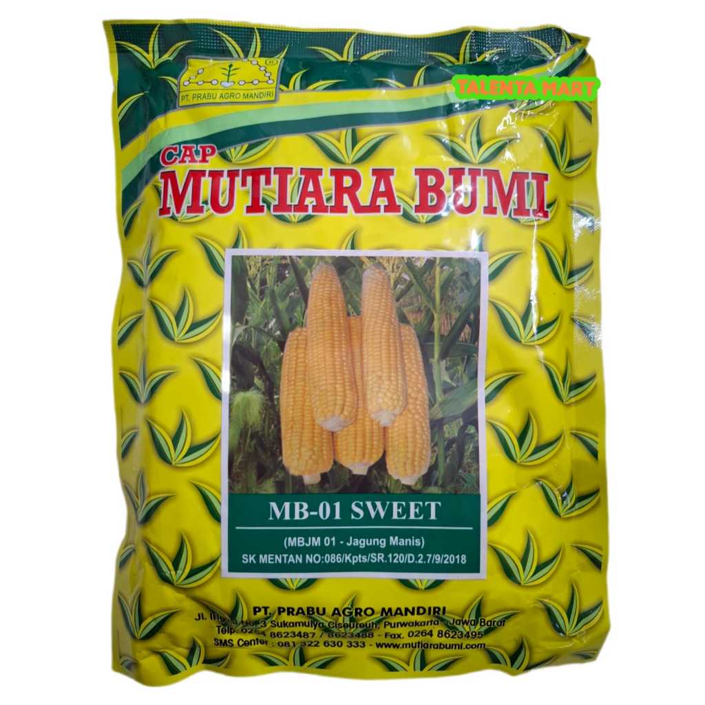 

250 GRAM BENIH JAGUNG MANIS MB-01 SWEET MUTIARA BUMI