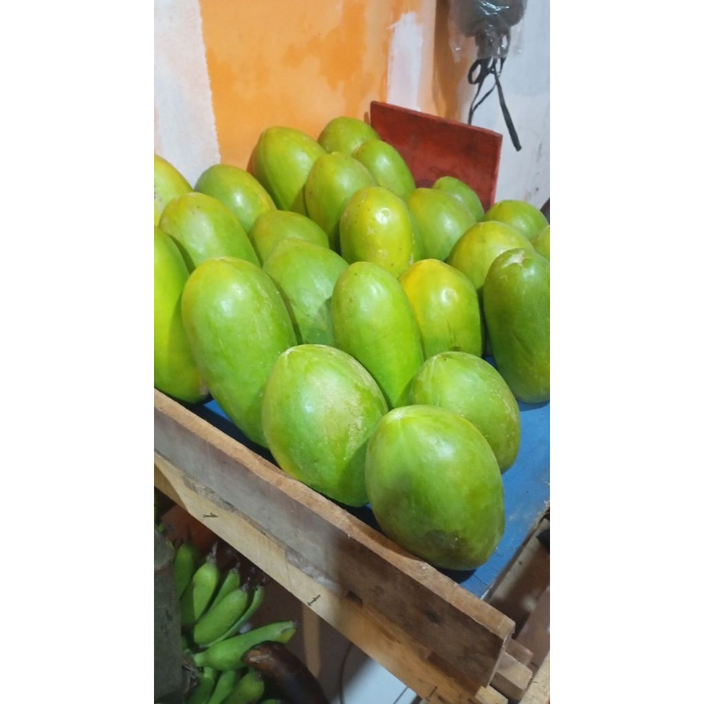 

PEPAYA CALIFORNIA