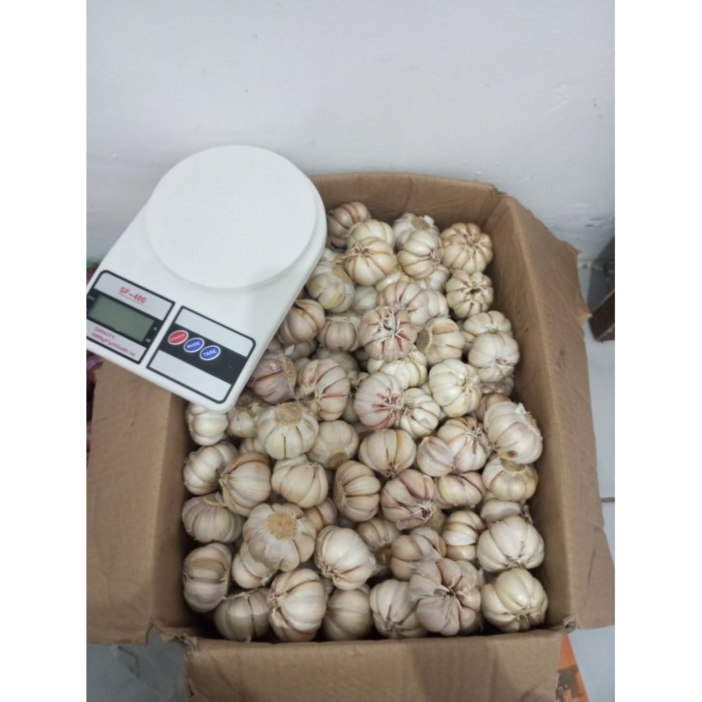 

bawang taiwan/sinco besar kering 1/2kg