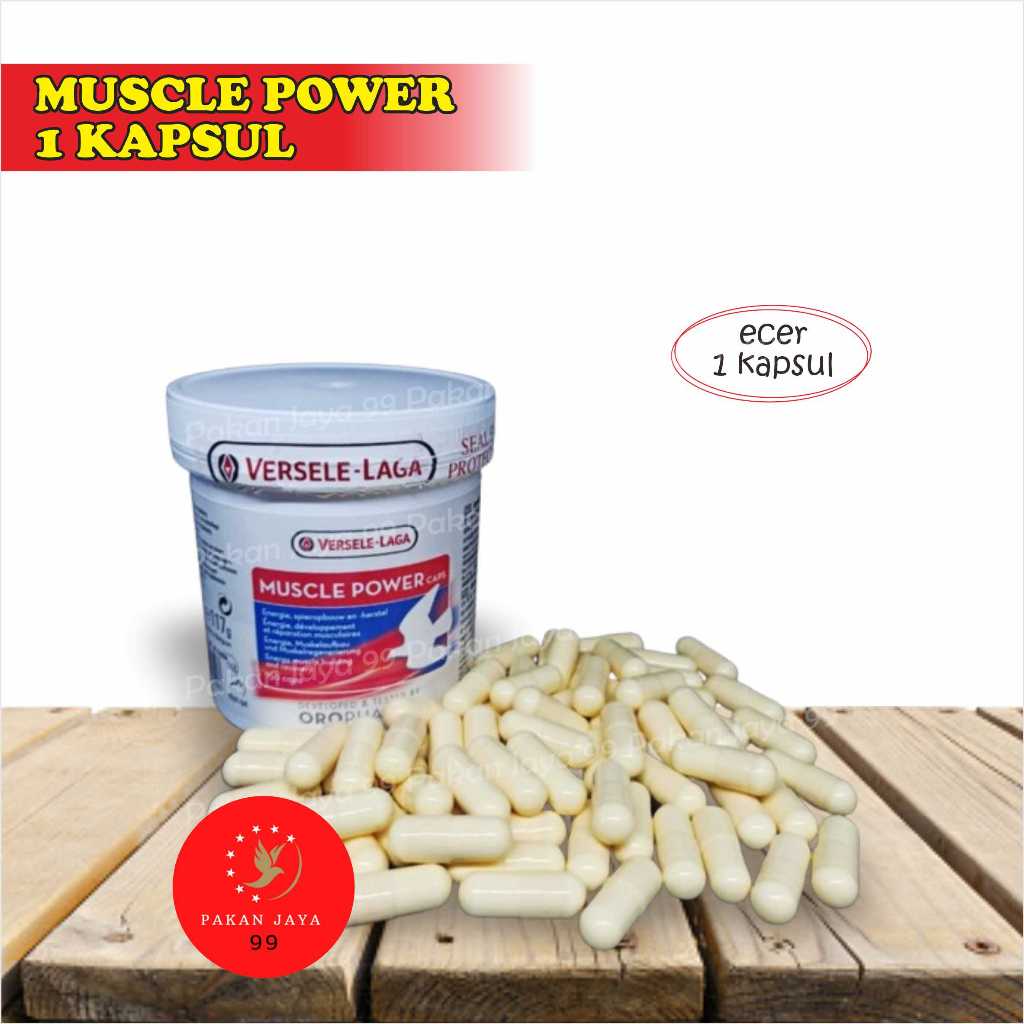 READY MUSCLE POWER ECERAN 1 PCS VERSELE LAGA VITAMIN OBAT BURUNG MERPATI DARA