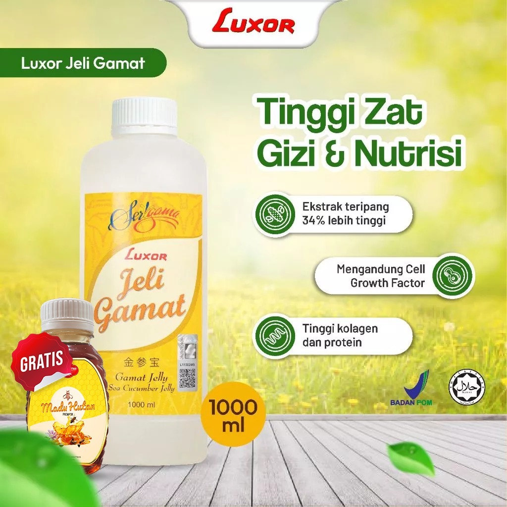 Jelly Gamat LUXOR 1000ml Luxor Jelly Jeli Jely Gamat 1000 mml