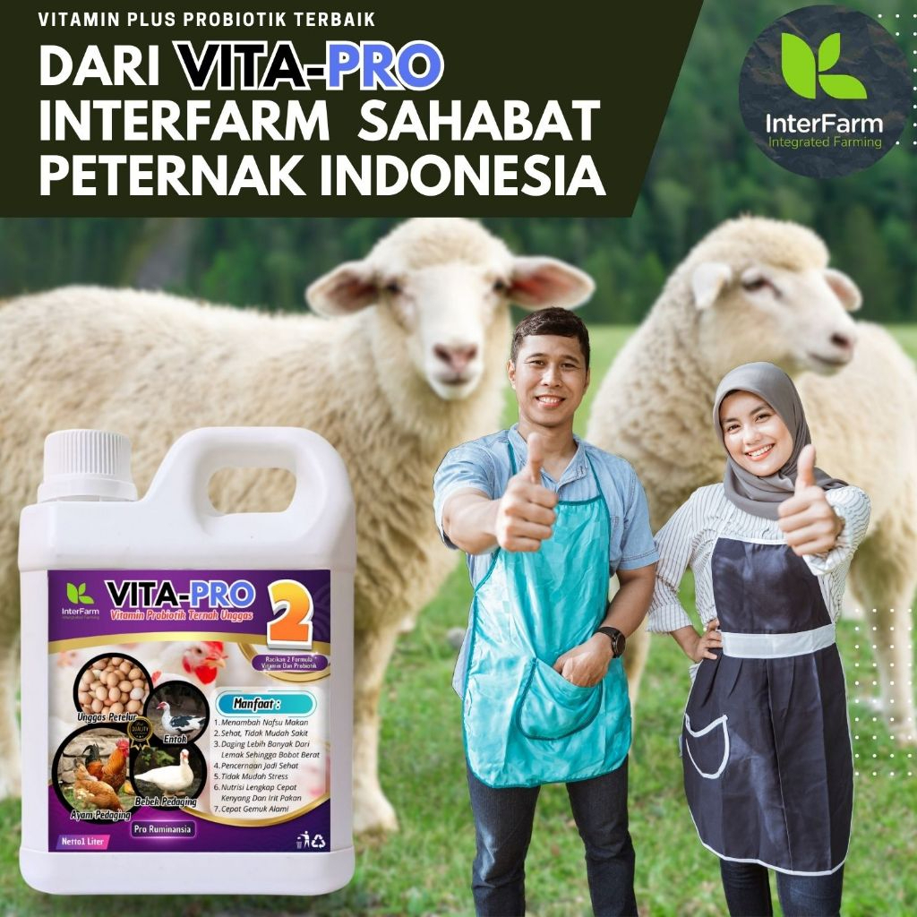 vitamin domba Vitaplus obat penggemuk ternak domba meningkatkan nafsu makan dan bobot ternak domba