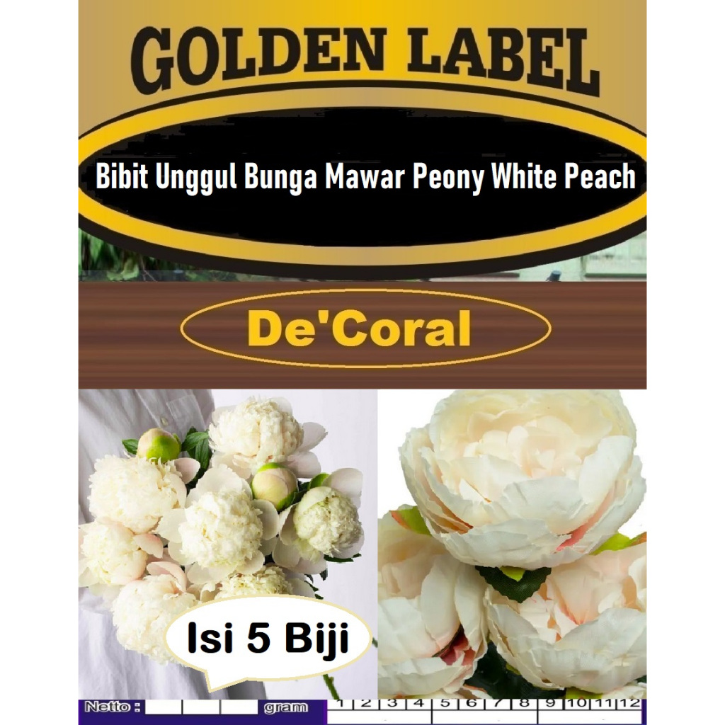 Bibit Unggul Bunga Mawar Peony White Peach | Biji Benih Bunga Mawar Peony White Peach | Bibit Bunga 