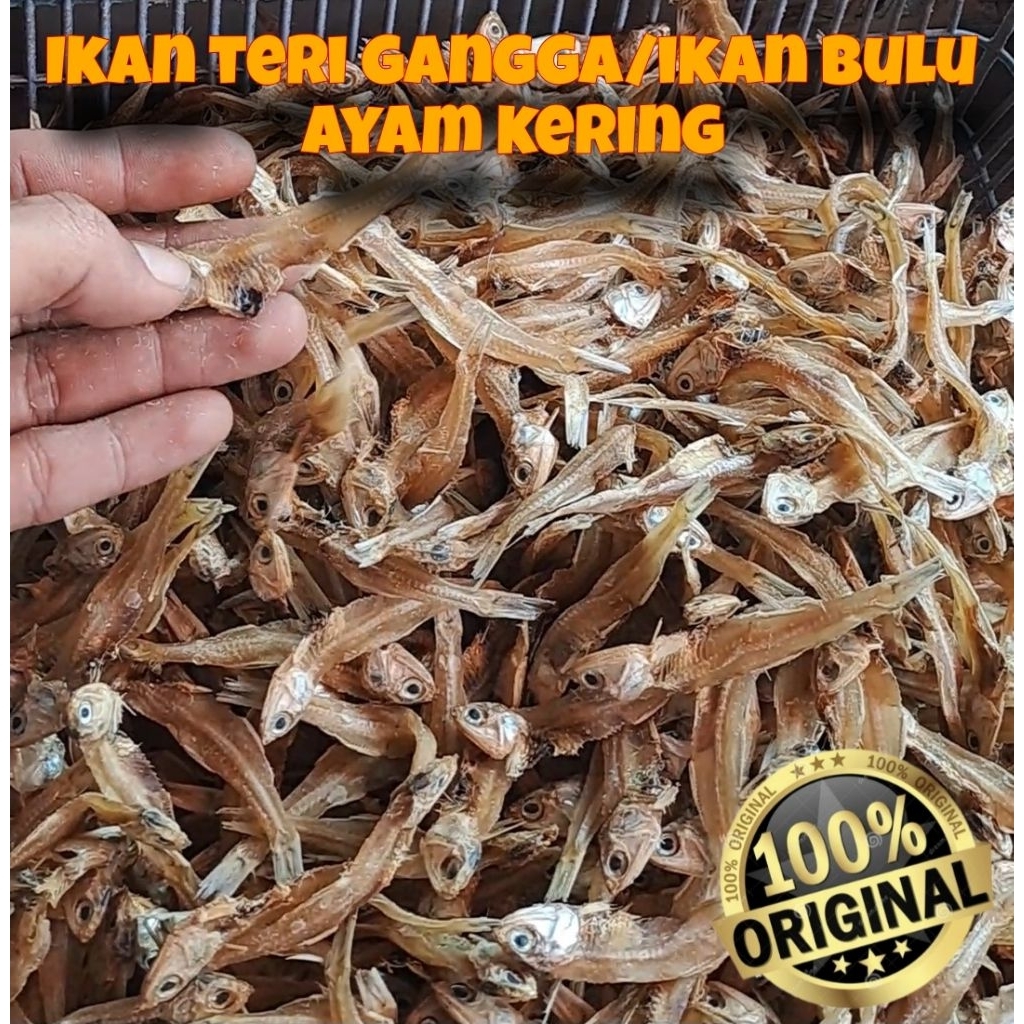 

IKAN ASIN BULU AYAM/TERI GANGGA