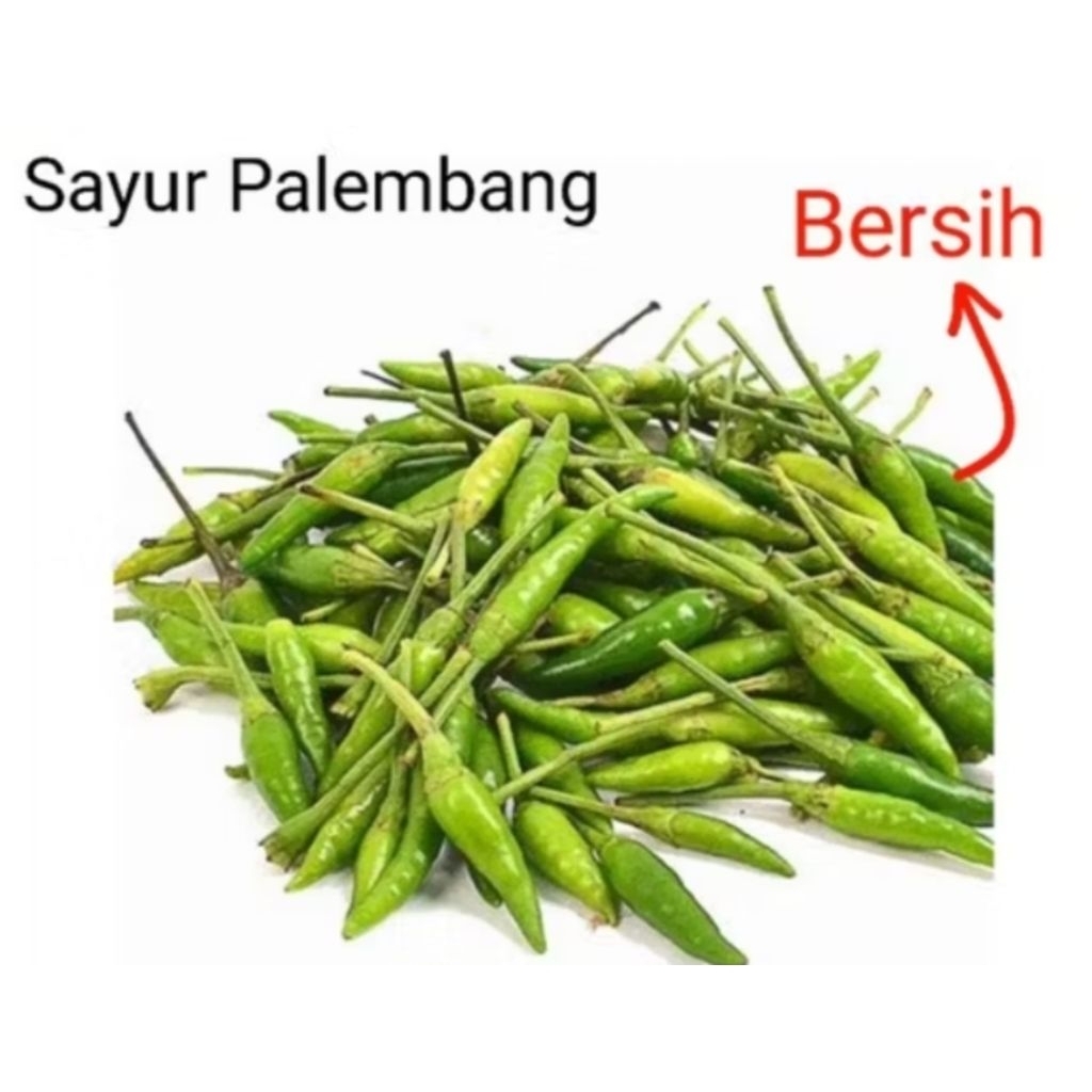 

CABE RAWIT JENGKI - Palembang