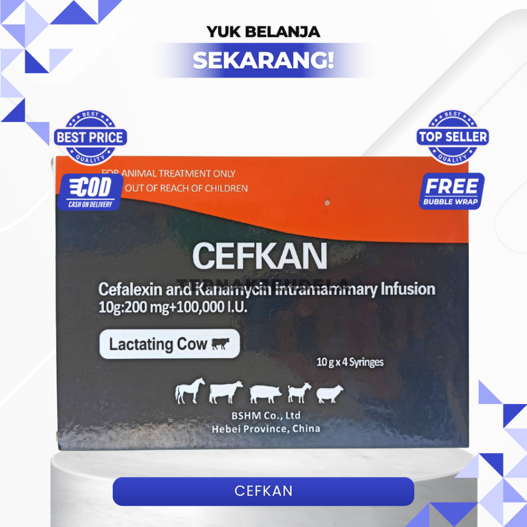 CEFKAN 10 ML - Pengobatan Mastitis Klinis Pada Sapi Perah Menyusui.