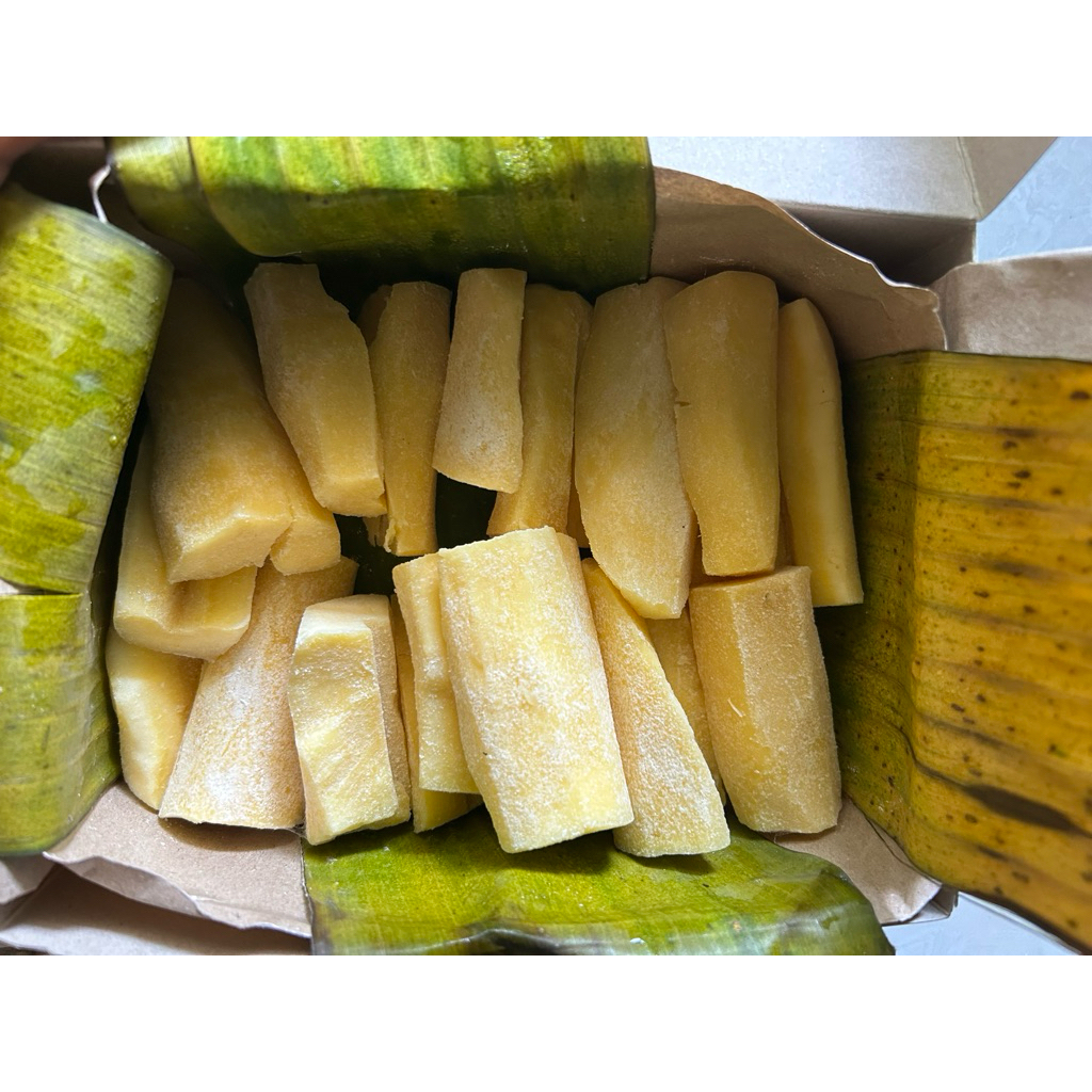 

Tape Manis Jember Mayangsari 1 kg