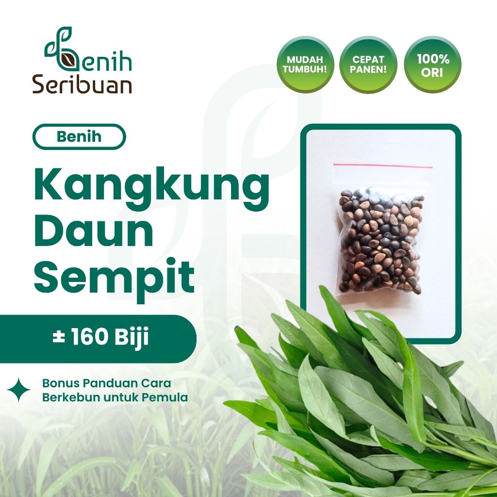 Benih Seribuan - 160 Benih Sayuran Kangkung Daun Sempit
