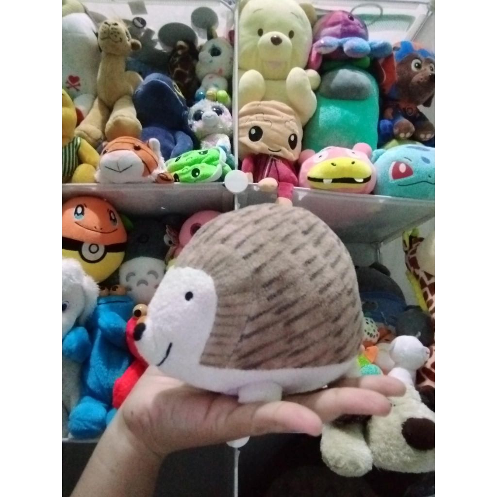 boneka landak sun arrow original