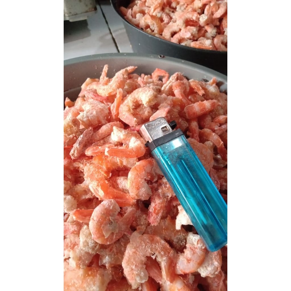 

Udang kering/ebi full daging