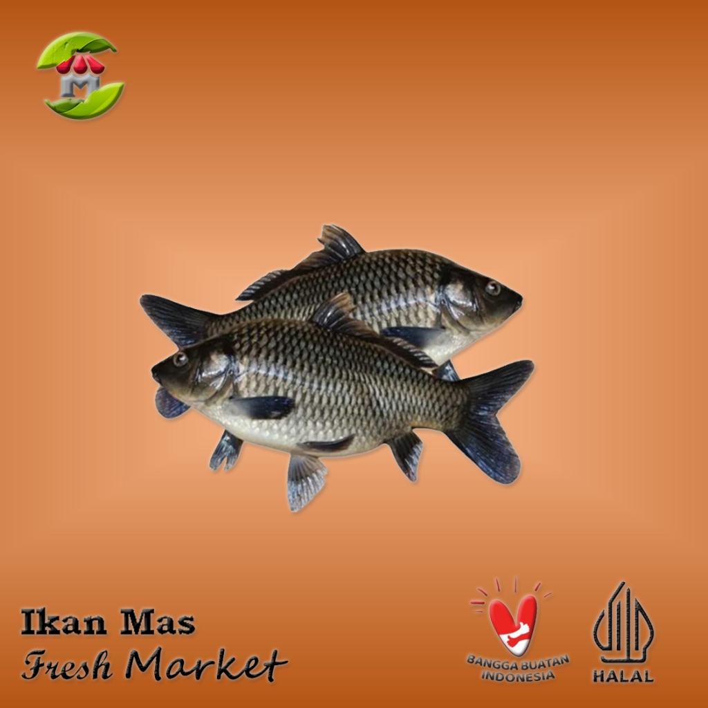 

[Bintaro] Ikan Mas Tawar 900gr - 1kg