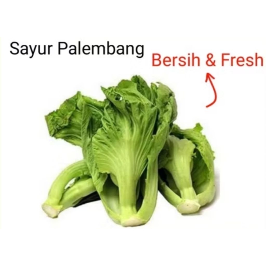 

SAWI PAHIT - Palembang