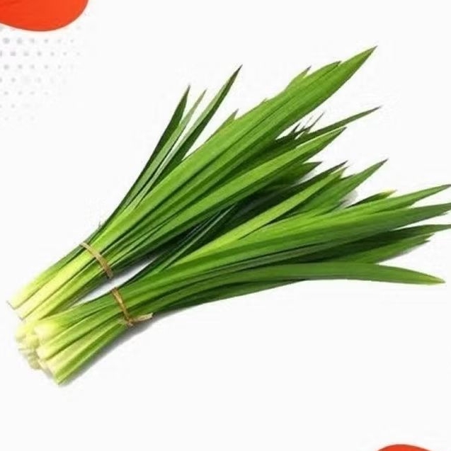 

Daun Pandan Segar Rempah Bumbu Masakan 1 Ikat