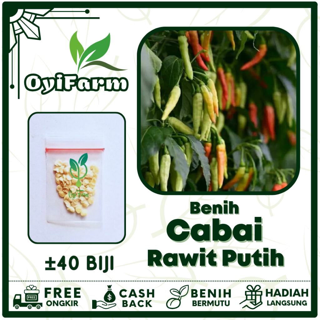 Benih Sayuran Cabe Rawit Putih Merunduk Cabai Unggul - Bibit Sayuran