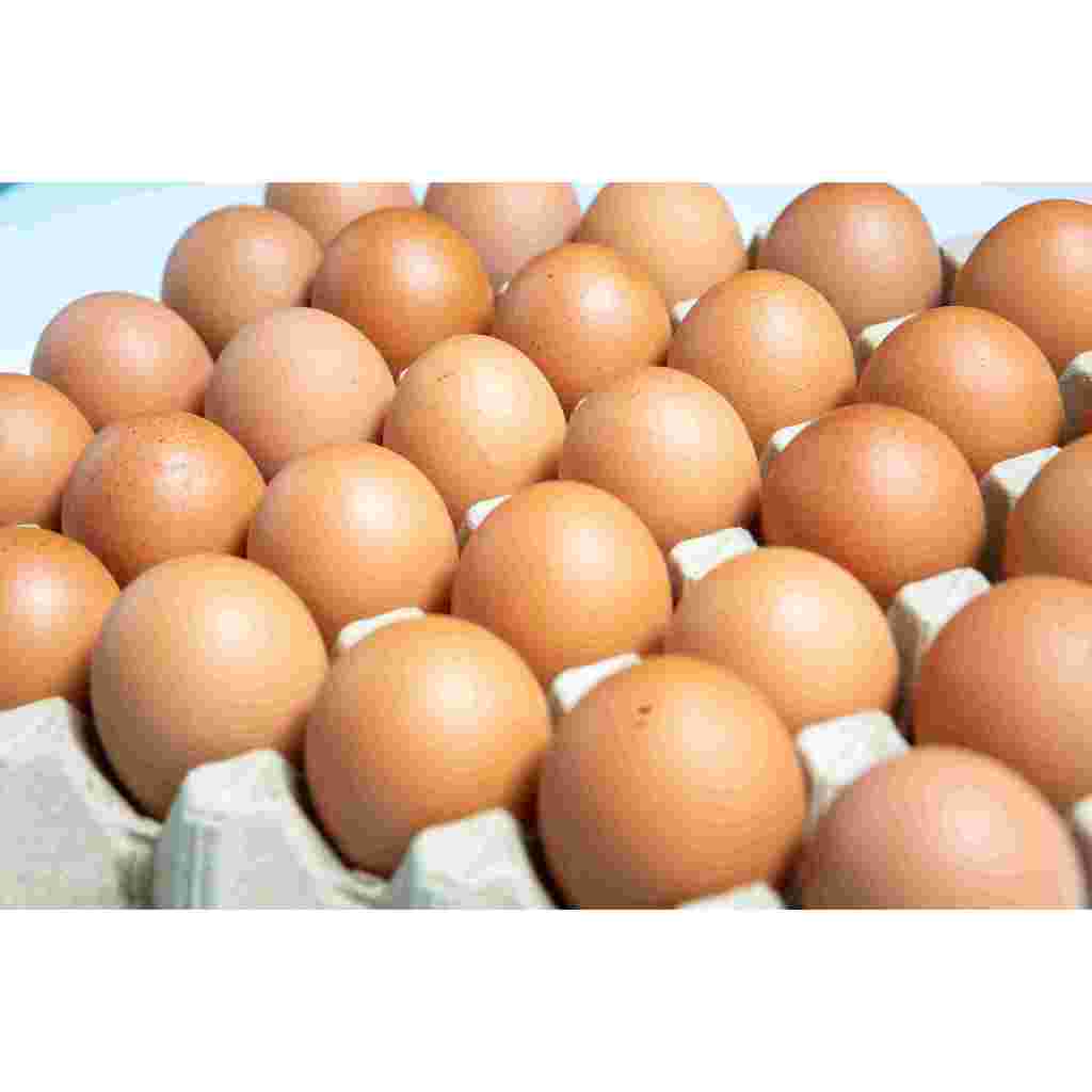 New TELOR OMEGA JUMBO isi 1kg /Telur Ayam/Telur Murah/telor omega 3/omega