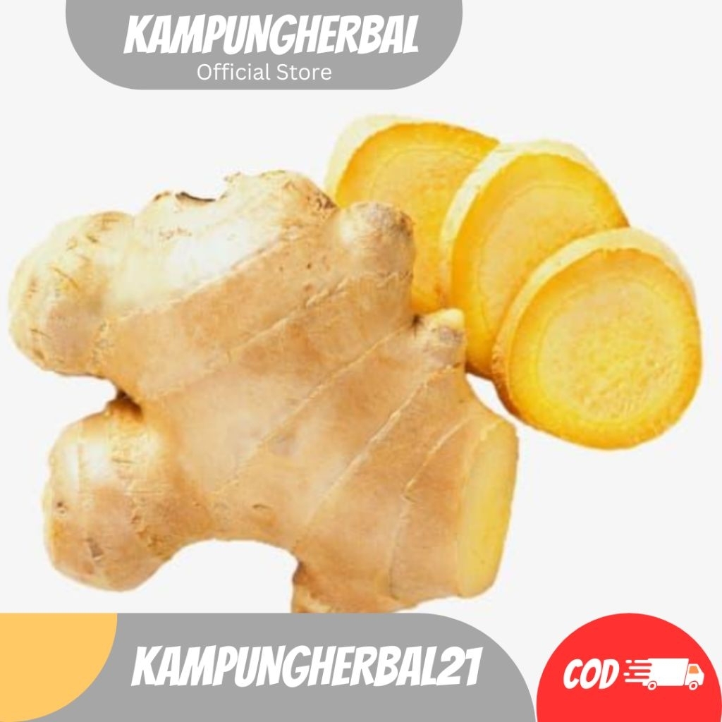 

TEMU MANGGA SEGAR FRESH 1KG