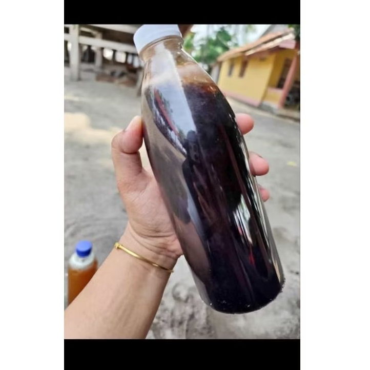 

Madu Asli Hutan Liar Sumbawa