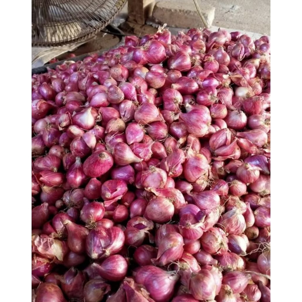 

Bawang merah 1 kg murah