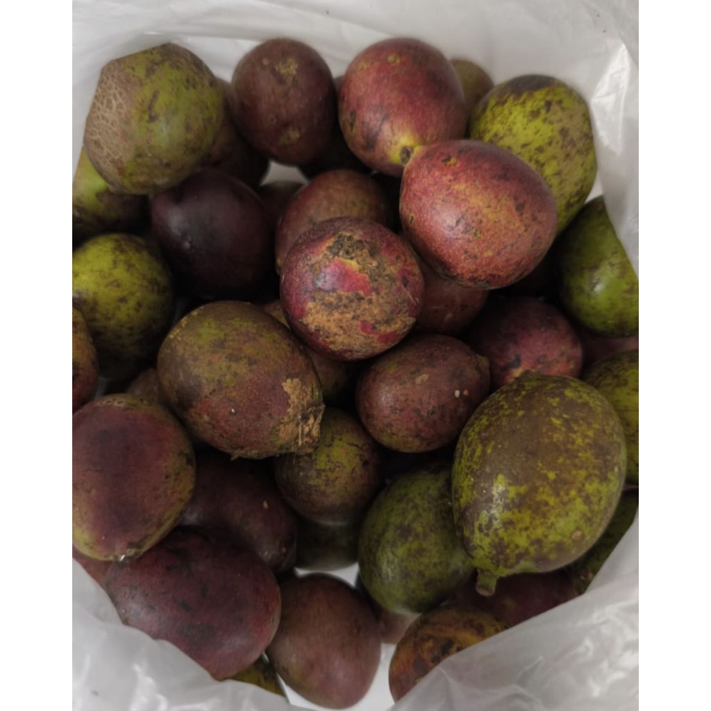 

Buah matoa super / buah matoa 1 Kg