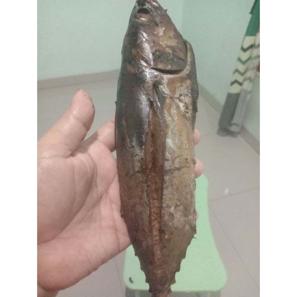 

ikan asap cakalang