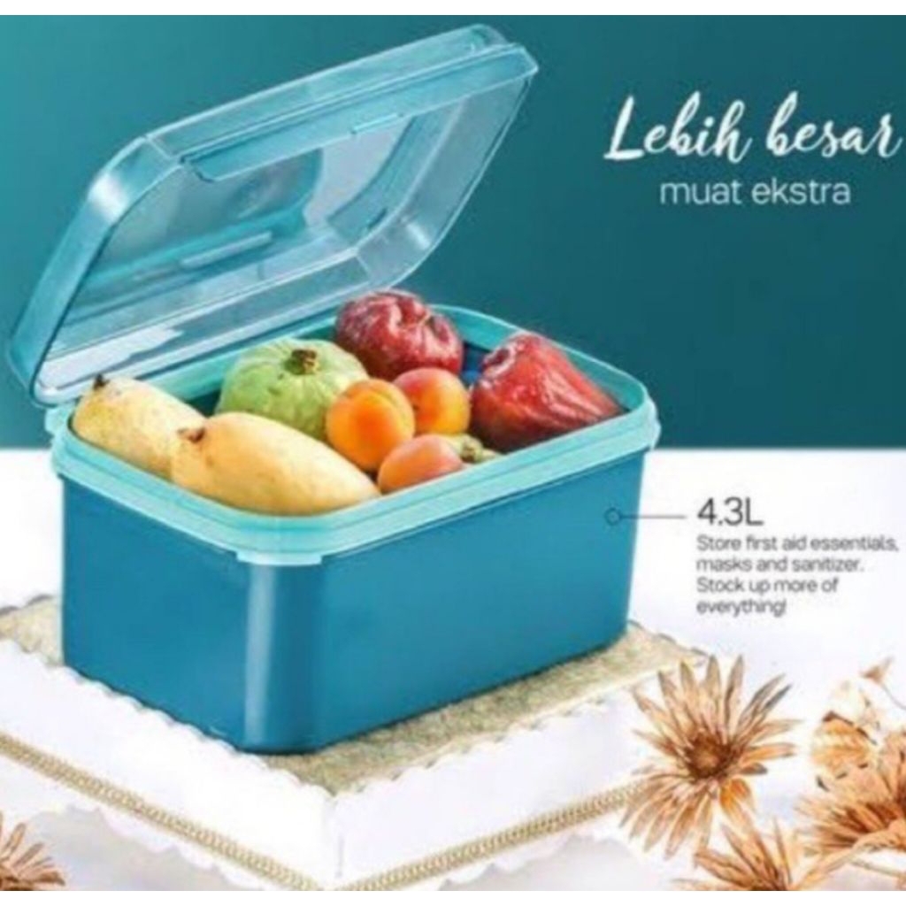 Ezy Keeper Rectangular Tupperware