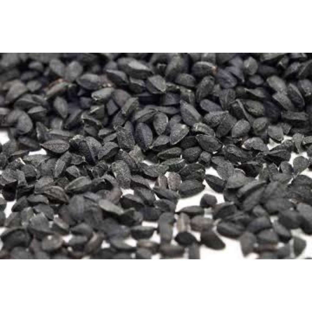 

Jintan Hitam (Nigella Sativa) Habbatussauda
