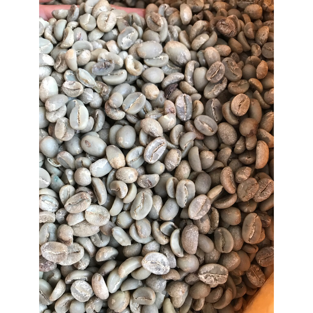 

Green Bean Arabila Flores Washed