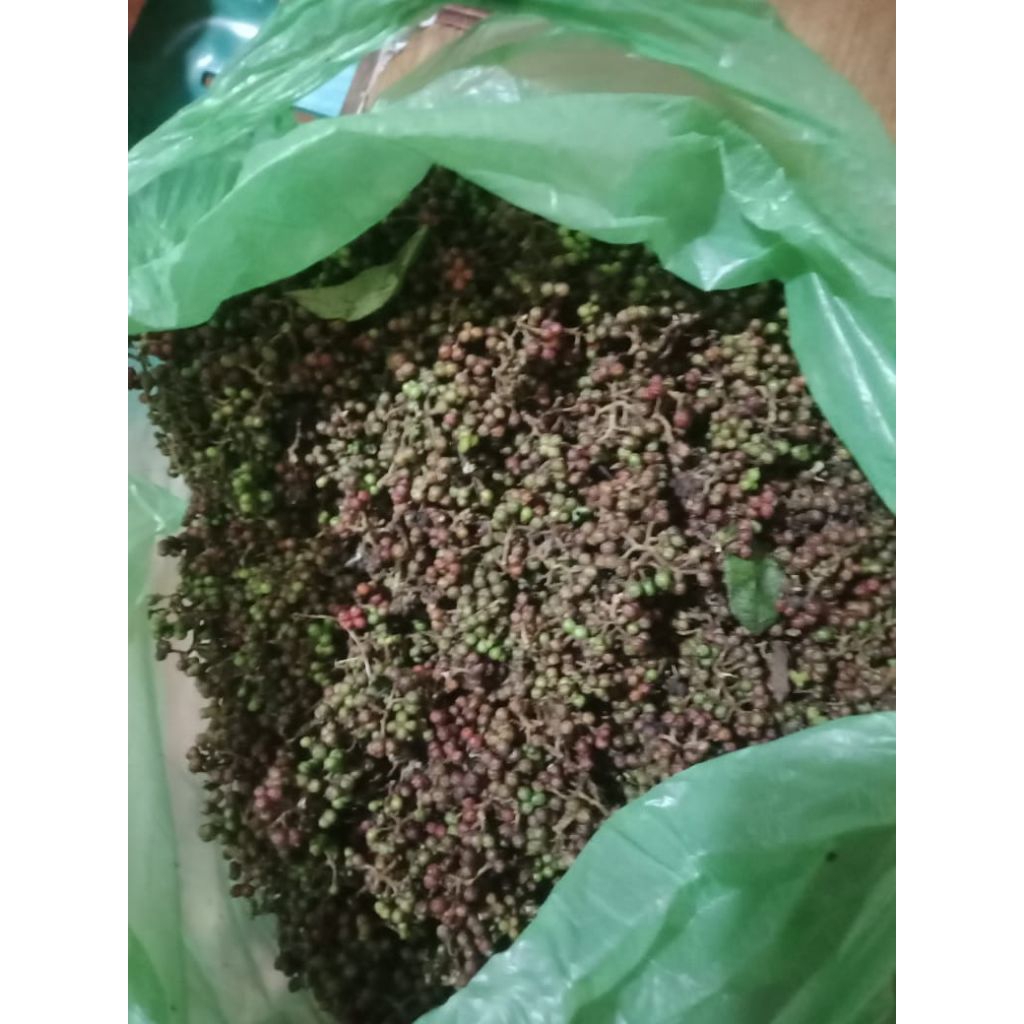 

Bumbu Andaliman / Ittir-ittir / Merica Batak by Batakpedia.org