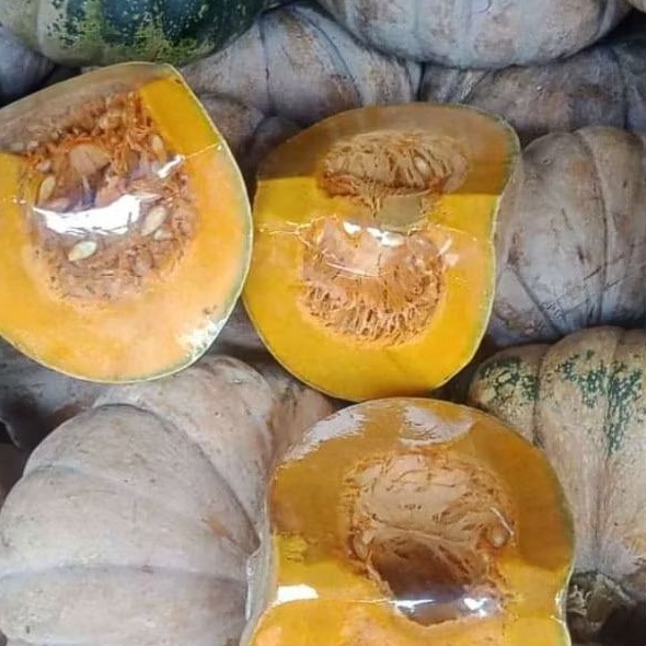 

LABU PARANG / LABU KUNING 1 BUAH
