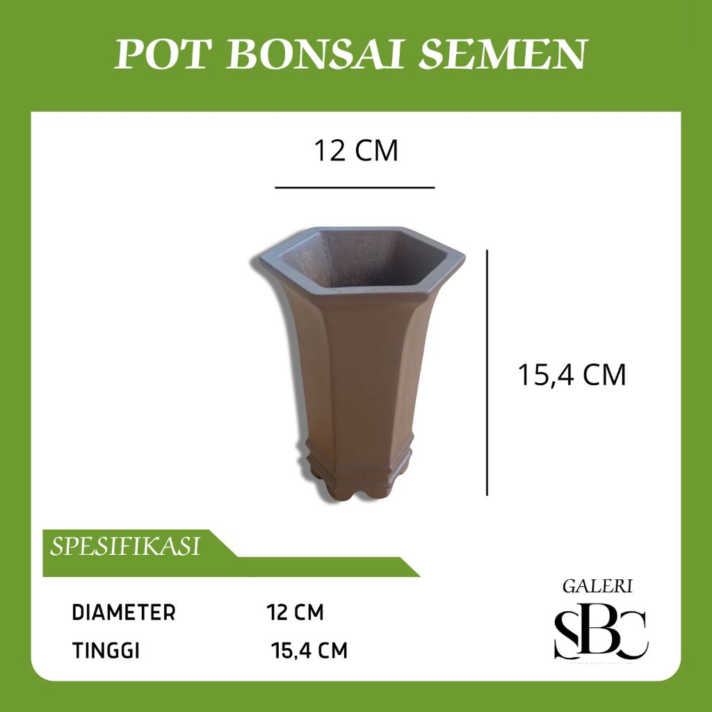 POT Bonsai Semen Minimalis (Cascade Mame Segi 6)