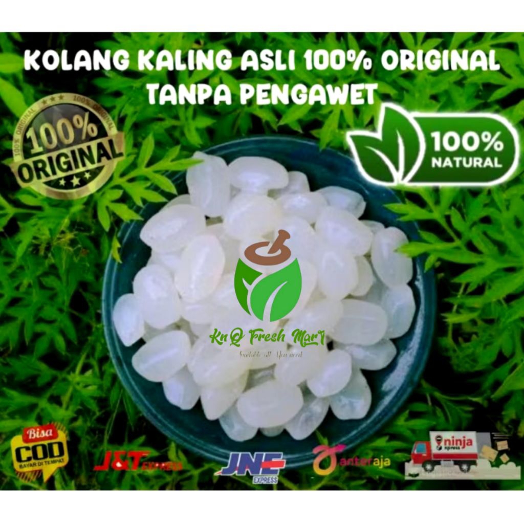 

Kolang kaling segar 5kg 100% kenyal tanpa campuran bahan pengawet