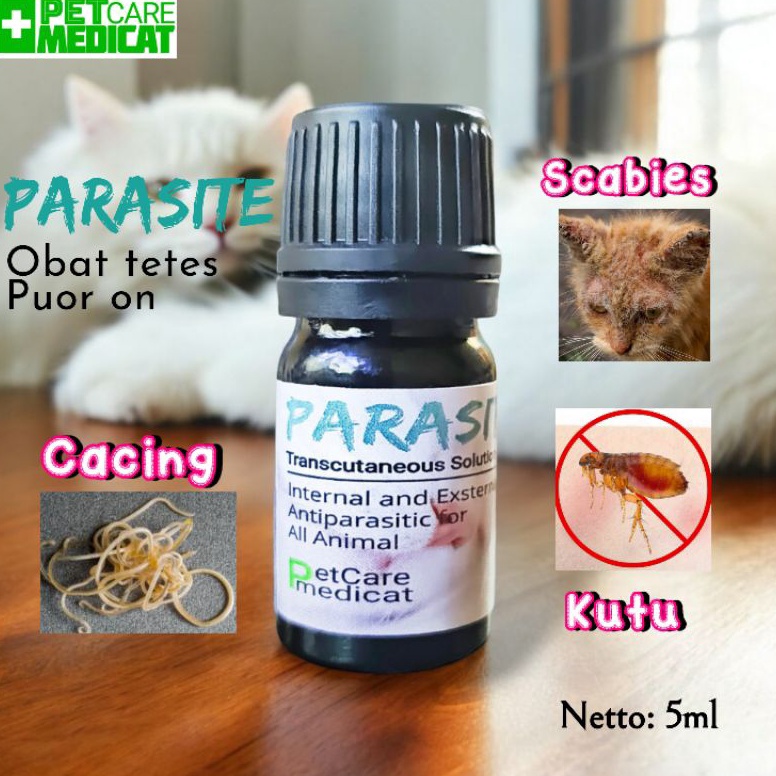 KODE H9V Obat Kutu Kucing Ampuh Obat Cacing Ampuh Obat Kutu Kucing Ampuh Obat Kutu Ampuh Obat Scabie