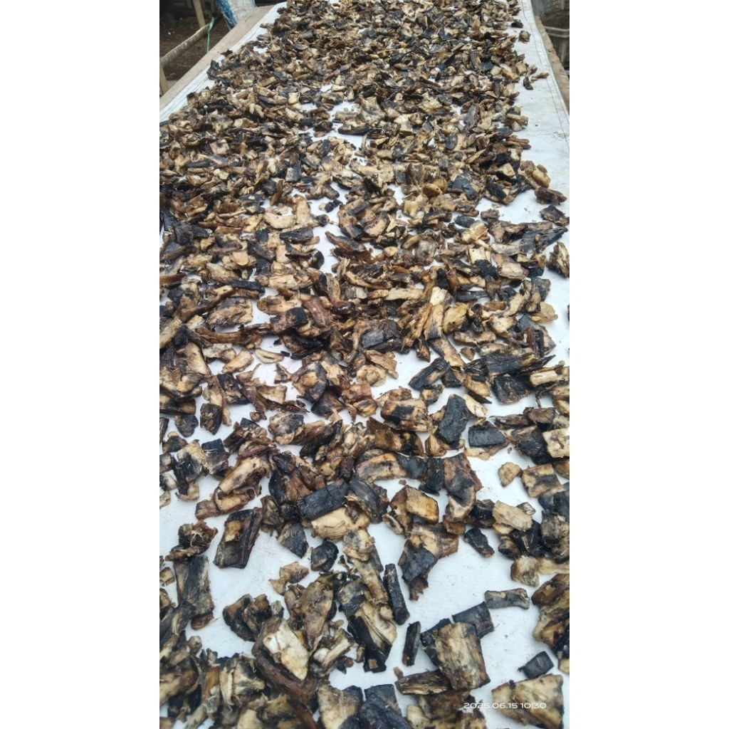 

Gatot kering , gatot singkong , camilan jadul