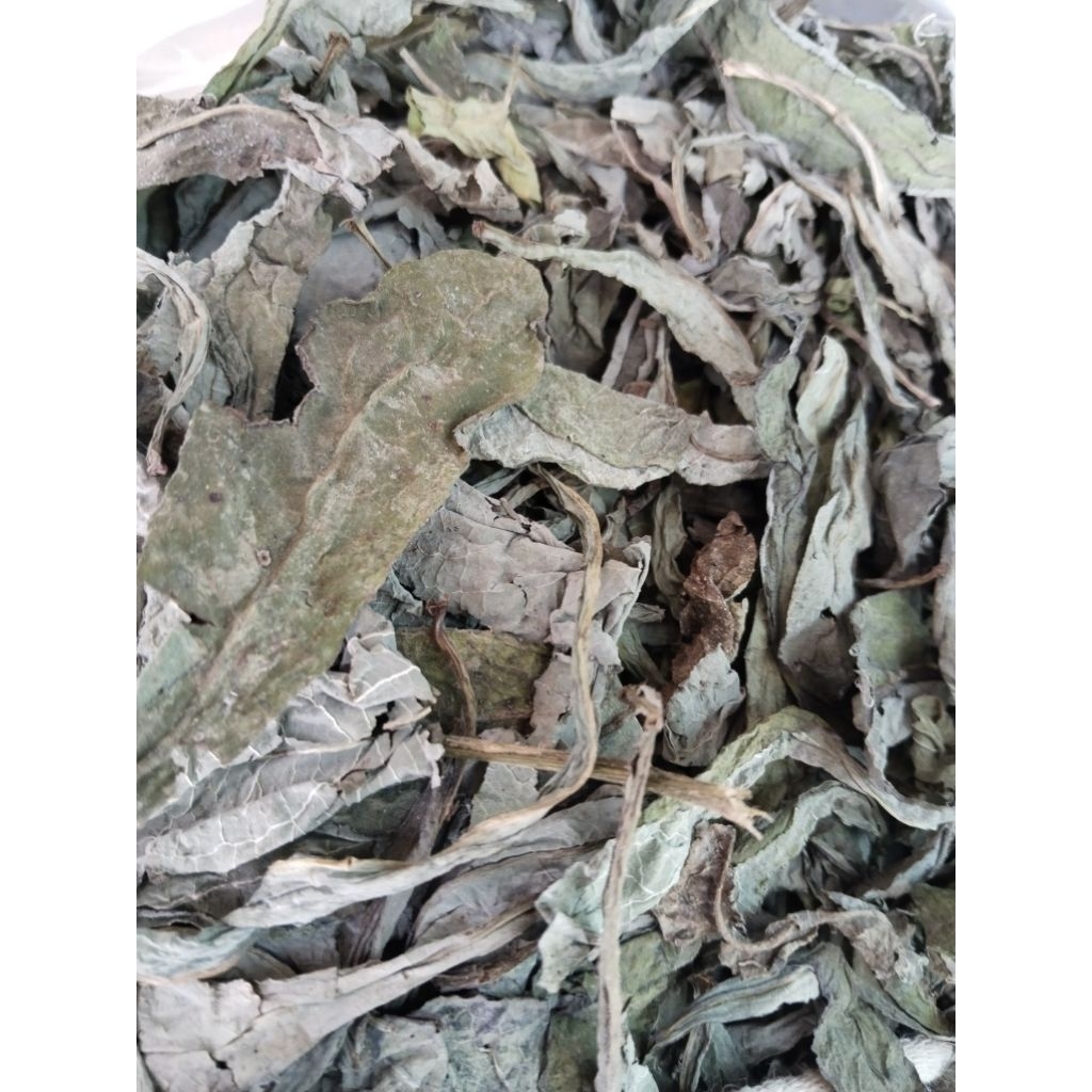 

daun tempuyung kering 500gram