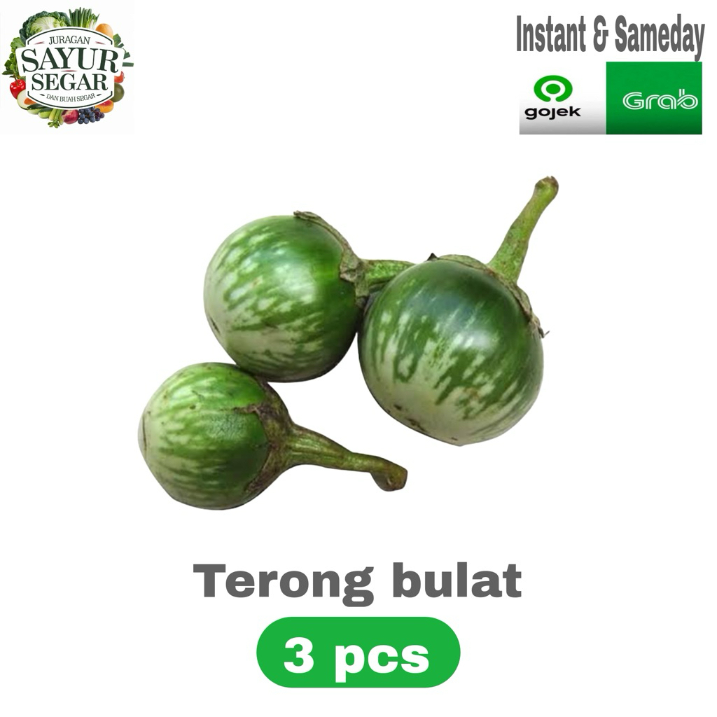 

Terong bulat/Terong lalap 3 pcs INSTANT