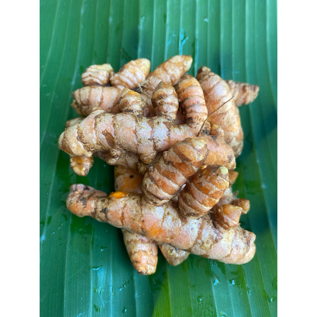 

Kunyit segar