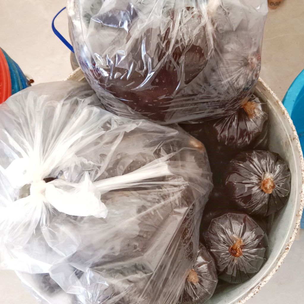 

Cahayadstore 1 Kg Petis Hitam Manis Asli Madura - Petis Martabak - Petis Gorengan